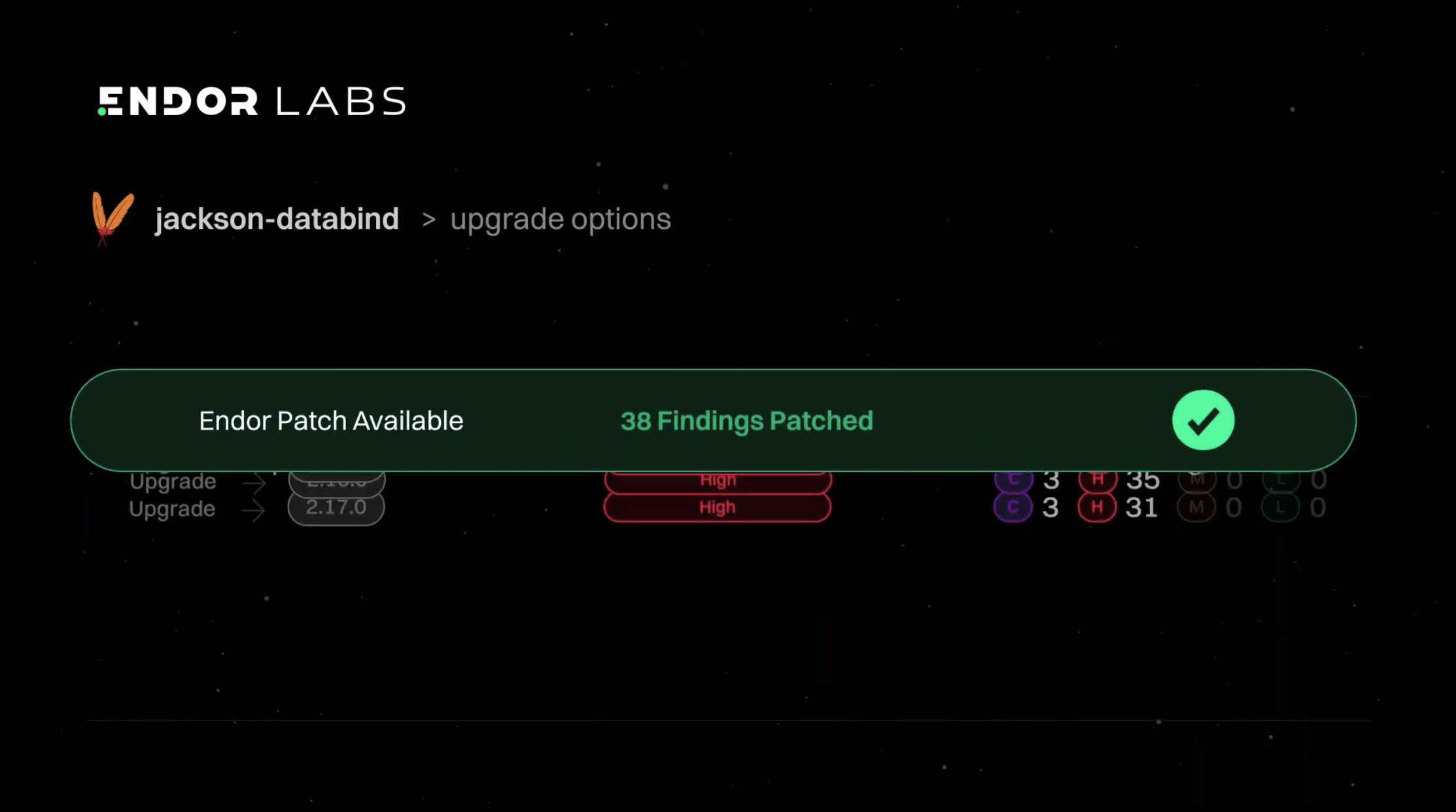 Endor Labs video artwork preview.